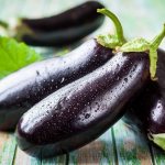 Bagheera eggplant introduction