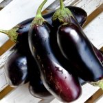 Eggplant King of the Market F1: variety description, reviews, photos