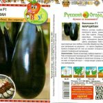 Eggplant Marzipan description