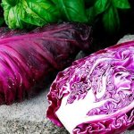 &#39;What is good about Kalibos cabbage, how to grow it and where to use it&#39; width=&quot;800