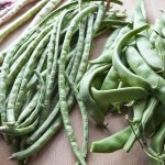 What is the difference between green beans and green beans: photos of legumes and the difference between them