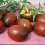 How to fertilize the soil for tomatoes in the fall