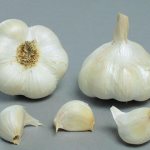 garlic messidor