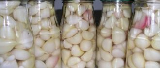Garlic in glass jars