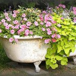 What can be made from an old bathtub in the country: an original flowerbed, a small pond, a cozy sofa (37 photos)