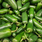What is Jalapeño pepper, how is it grown and used?