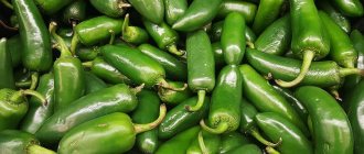 What is Jalapeño pepper, how is it grown and used?