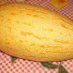 gulabi melon