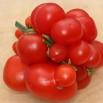 Единственный экзотический томат, который устойчив ко всем томатным заболеваниям: фитофторозу, гнилям, пятнистостям и фузариозу.
