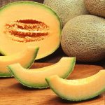 &#39;Exotic cantaloupe cantaloupe: review of a variety with amazing taste and aroma&#39; width=&quot;800
