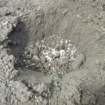 Photo of mineral fertilizers at the bottom of the hole