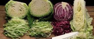 Photo of chopped cabbage