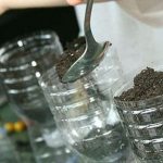 photo: preparing soil for cucumbers
