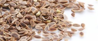Photo of seeds