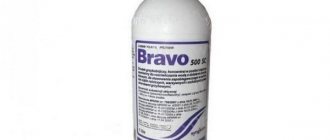 fungicide Bravo