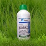 Topaz fungicide: how to use it correctly to reliably protect plants from diseases