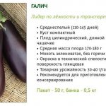 Galich - description and characteristics of the variety