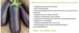 Galich - description and characteristics of the variety