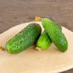 Characteristics of cucumbers of the Derevensky Raznosol variety