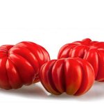 Характеристика томата сорта Американский Ребристый