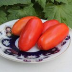 Characteristics of the tomato Cheerful gnome