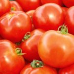 Characteristics of tomatoes variety Babushkin Podarok