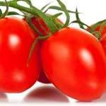 Характеристика томатов сорта Непас