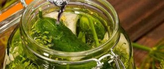 Crispy pickles for the winter in jars - can be stored in the apartment