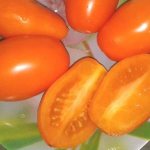 'Исполняет желания дачников о богатом урожае - томат "Золотая рыбка