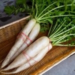 How to store daikon at home, in the cellar for the winter