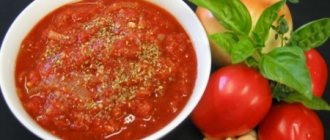 How to make tomato sauce from tomatoes: recipes in a blender, photos