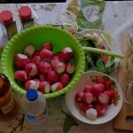 how to pickle radishes for the winter