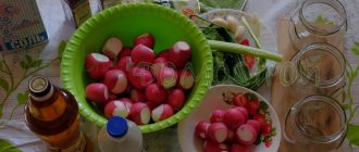 how to pickle radishes for the winter