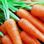What is the name of the variety of mini carrots?