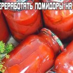 How to process tomatoes for the winter?
