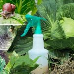 How to properly use cabbage vinegar against pests and how effective this remedy is