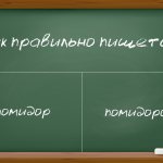 'Как правильно писать в русском языке: "помидор