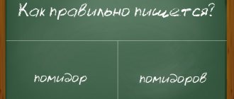 'Как правильно писать в русском языке: "помидор