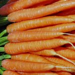 Как сажать и ухаживать за морковью
