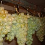 Как сохранить виноград зимой. Как сохранить виноград в домашних условиях
