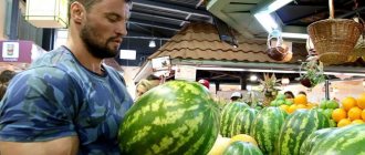 how to choose a watermelon at first sight