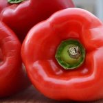 &#39;How to grow hybrid pepper &quot;Denis&quot; to get a rich harvest of sweet and juicy fruits&#39; width=&quot;800