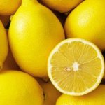 Как вырастить лимон из черенка в домашних условиях