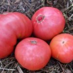 'Какую урожайность можно ожидать от томата "Медовый
