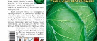 Cabbage-Rinda- description