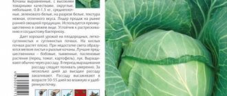 Cabbage Transfer Description