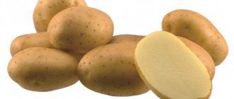 Arizona Potatoes