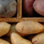 Картофель: как из многообразия сортов выбрать самый вкусный