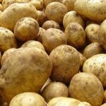 potato karatop