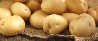 Molly potatoes: variety characteristics, yield, reviews